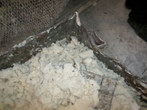 পচাঁ ও নোংরা ডালডা